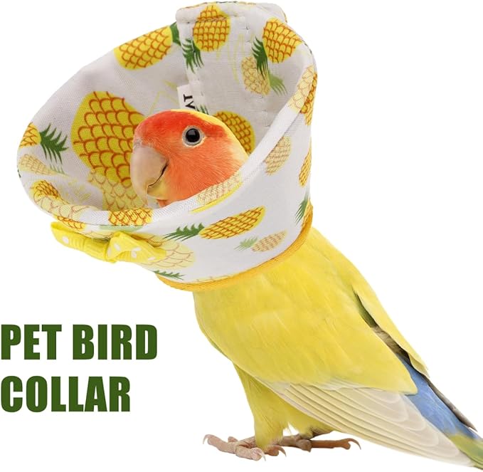 SUPVOX Parrot Collar Anti-Biting Bird Cone Collar for Plucking Protection Lightweight Comfortable Recovery Ring 6.69X3.54In