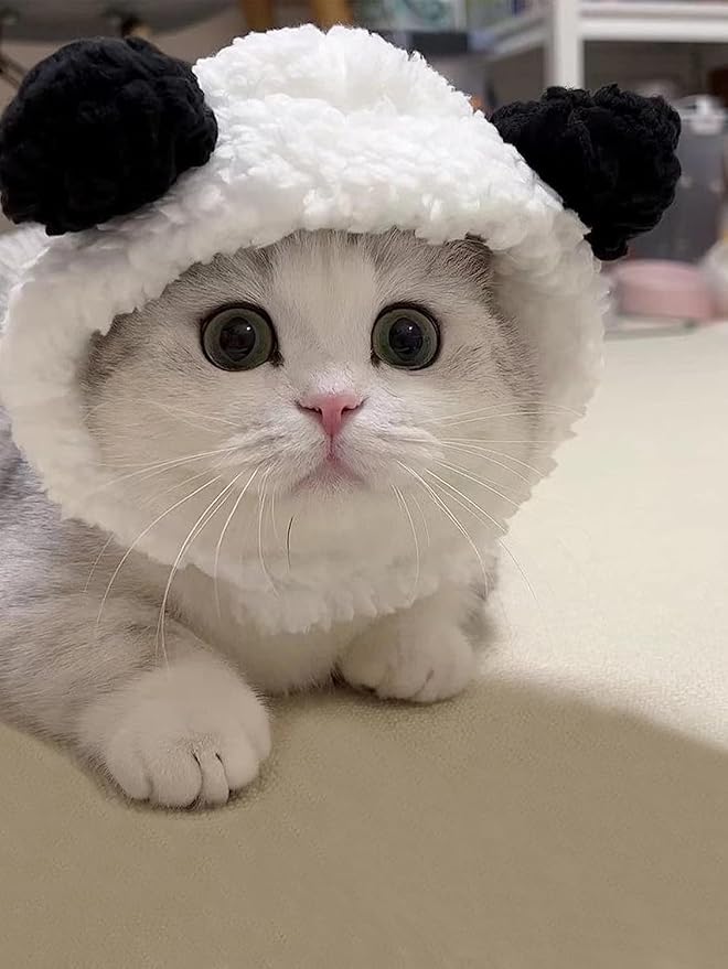 Cat/Dog Costume for Halloween, Parties and Pictures (Panda)