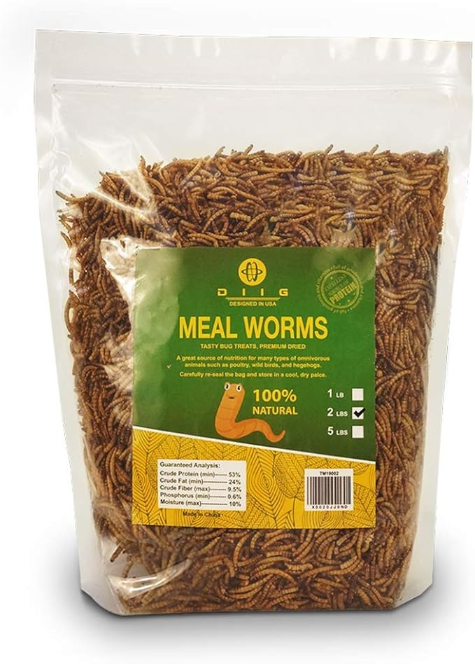 DIIG Non-GMO Dried Mealworms - Treats for Birds Chickens Hedgehog Hamster Fish Reptile Turtles, 2 lb