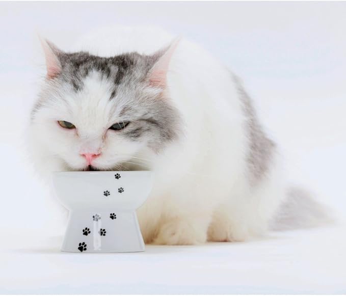 Necoichi Raised Cat Food Bowl – Ceramic Elevated Cat Bowl for Whisker & Neck Fatigue, Dishwasher Microwave Safe – Non-Slip & Anti Vomiting Ergonomic Design (Cats, Mini)