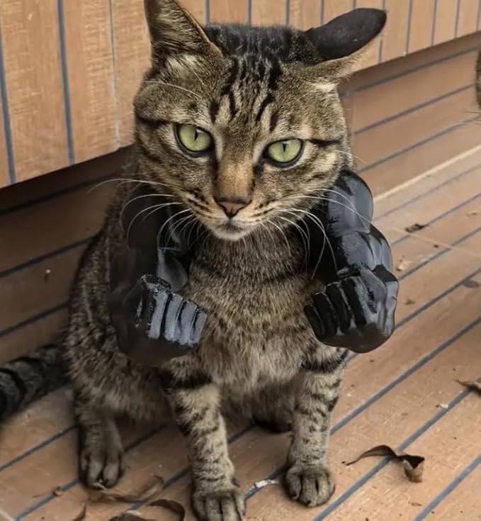 Creative Cat Muscle Arms, 3D Printed Cat Muscle Arm, Halloween Costume Accessory,Funny Muscle Arms for Cats,Cats with Muscular Arms for Kitten Birthday Party Supplies (Black)