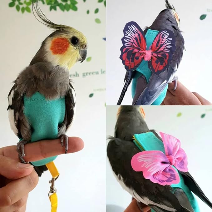 2 Pcs Bird Diaper Harness Flight Suit with Waterproof Liner Pet Bird Nappy Clothes with Flying Leash Rope Protective Parrot Diaper Suit (2 Pcs Multi, Medium)