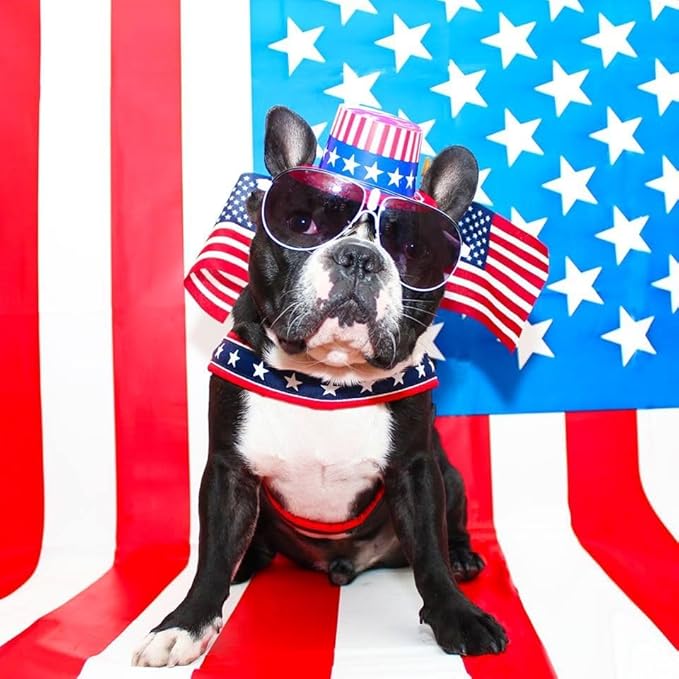 ComfortFlex Patriotic Dog Harness – Fully Padded, Adjustable, Lightweight No-Choke, No-Pull, Non-Chafing Design for Active Dogs, Enhanced Control, Made in The USA - XXSmall, The Patriot