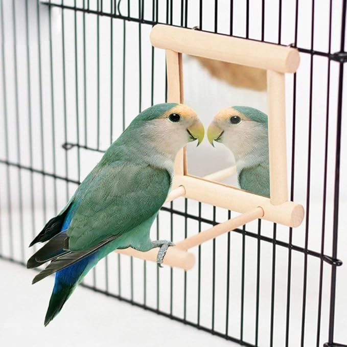 Litewoo Bird Mirror Wooden Hanging Swing Interactive Play Toys for Small Parrot Budgies Macaw African Grey Parakeet Cockatiel Conure Lovebird Cage Accessories (Bird Mirror Perch Stand-2 PCS)