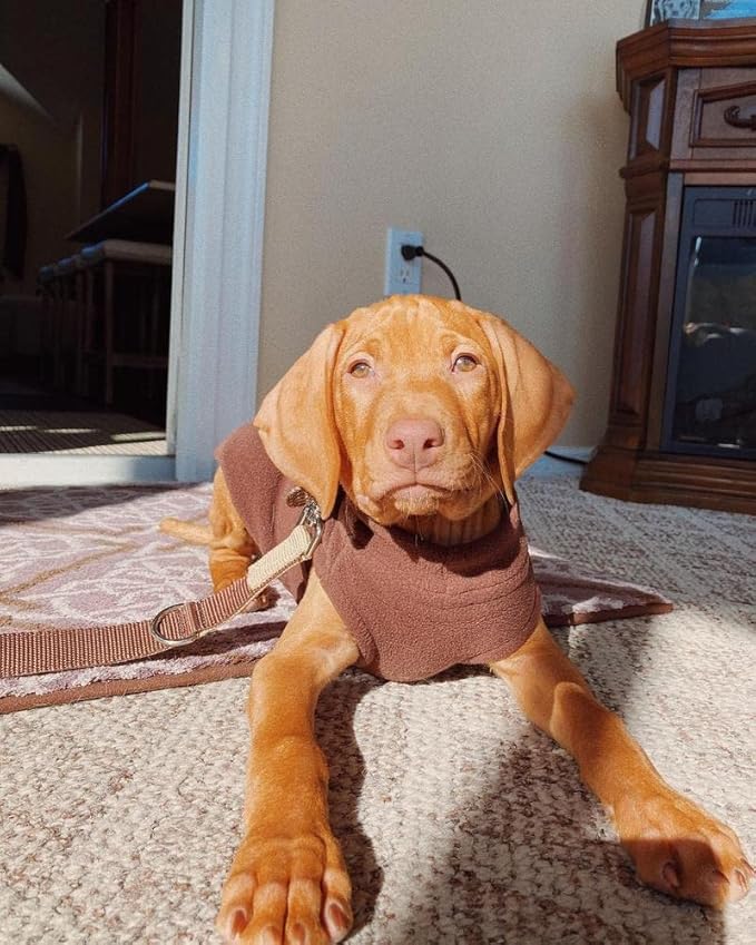Gooby - Stretch Fleece Vest, Pullover Fleece Vest Jacket Sweater for Dogs, Brown, Small