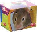 Cardboard Carriers