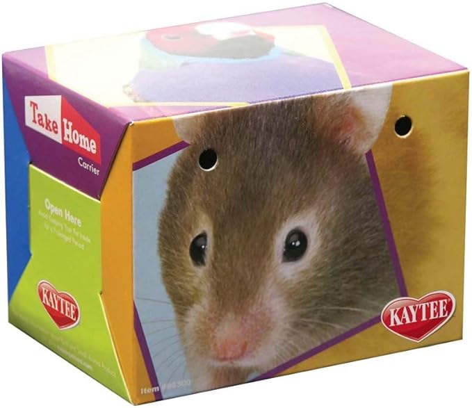 Cardboard Carriers