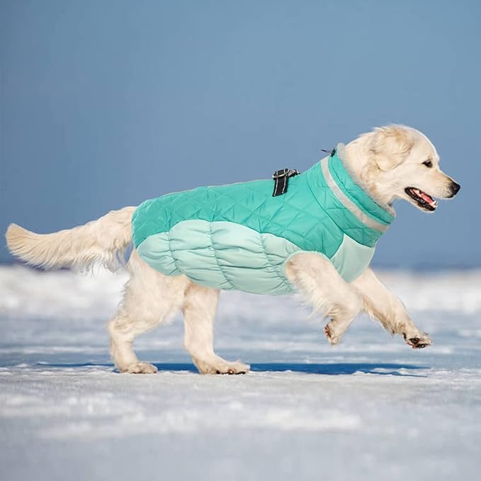 Lelepet Dog Coat Warm Dog Winter Coat Waterproof Dogs Jacket with Harness Built in Reflective Pet Fleece Vest Zip-Up Cold Weather Coats for Medium Dogs Turtleneck Windproof Dachshund Mint Green M