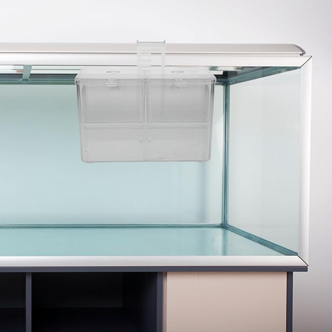 Fish Breeding Box Incubator for Shrimp and Tropical Fish Divider Hatchery Enhanced Survival Rates for Newborns Easy Observation and Installation