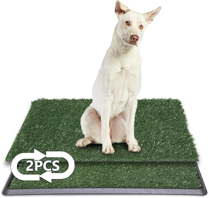 LITA Indoor Dog Litter Box for Pet Training, Potty System (20x25)