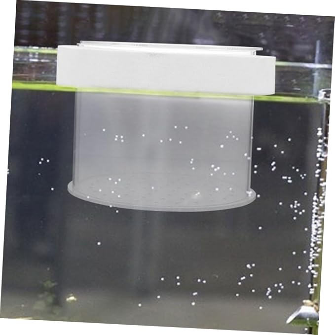 Acrylic Fish Isolation Box for Shrimp and Fry Breeding Separator Tank for Freshwater and Aquariums Easy to Observe and Install Breeding Container