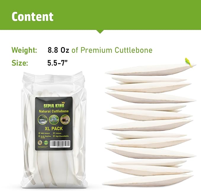 Large - Cuttlebone for Birds, Tortoises, Snails, Reptiles 5.5-7" - 8.8oz - 100% Natural Calcium Supplement, Food and Toys for Parakeets, Turtles