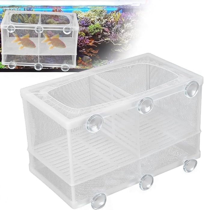 Aquarium Breeder Box with Suction Cups Partition Design Detachable Isolation Hatchery for Fish Fry Tank Breeding(L (with Partition))
