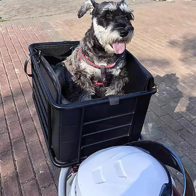 Bike Dog Carrier Rear Mount – Steel Pet Bicycle Basket with Padded Liner, Safety Tether & Strap Kit – Universal Rear Rack Dog Seat for Small Dogs/Cats