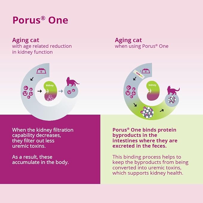 Porus One, 500mg, 30ct