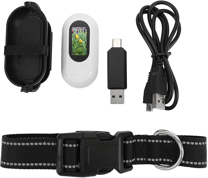 Cat Camera Collar, Pet Collar Camera with Memory Card, HD 1080P Wire Less Dog Tracker Camera Adjustable Mini Action Camera for Video Records (64GB)