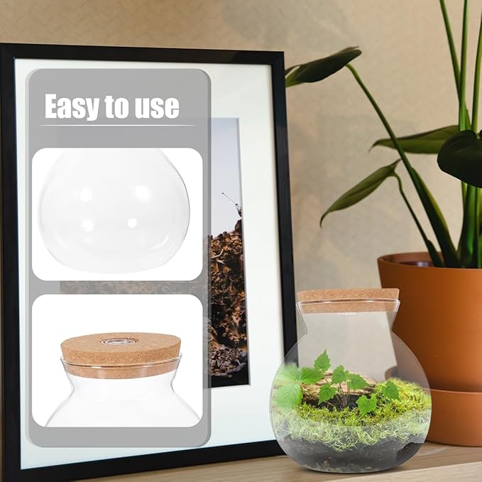 6.29X5.90X5.90 Inch Led Light Ecological Fish Tank Bottle Glass Micro Aquarium DIY Micro Landscape for Home Office Decoration
