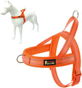 Plutus Pet No Pull Dog Harness with Breathable Mesh Padded, Adjustable Reflective Escape Proof Dog Harness, Quick Fit Dog Vest Harness for Small Medium Large Dogs(XS, Orange)