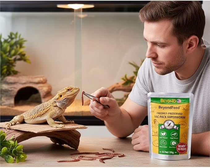 BeyondFeed™ Freshly Preserved Vac-Pack Feeder Insects – Ready-to-Feed Protein Treats for Reptiles, Birds, Fish & Aquatic Turtles (Fresh Superworm)
