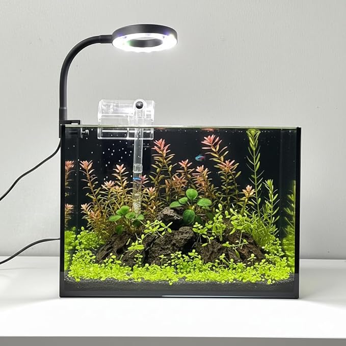 Nano Aquarium Kit 2.2 Gallon, Rimless Glass Betta Fish Tank with Filter & LED Light, 12" x 6" x 8" Small Desktop Fish Tank for Home Office