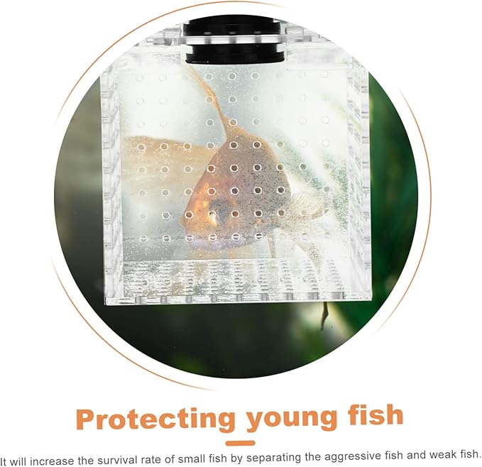 Mikikit 1pc Fish Isolation Box Acrylic Separation Case for Fish Tank and Aquarium Easy to Install Breeding Box for Fry and