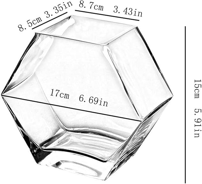 Fish Bowl Fish Tank Small Hexagonal Aquarium Tank Glass Transparent Desktop Small Fish Tank Tropical Fish Tank Ecological Tank Aquariums