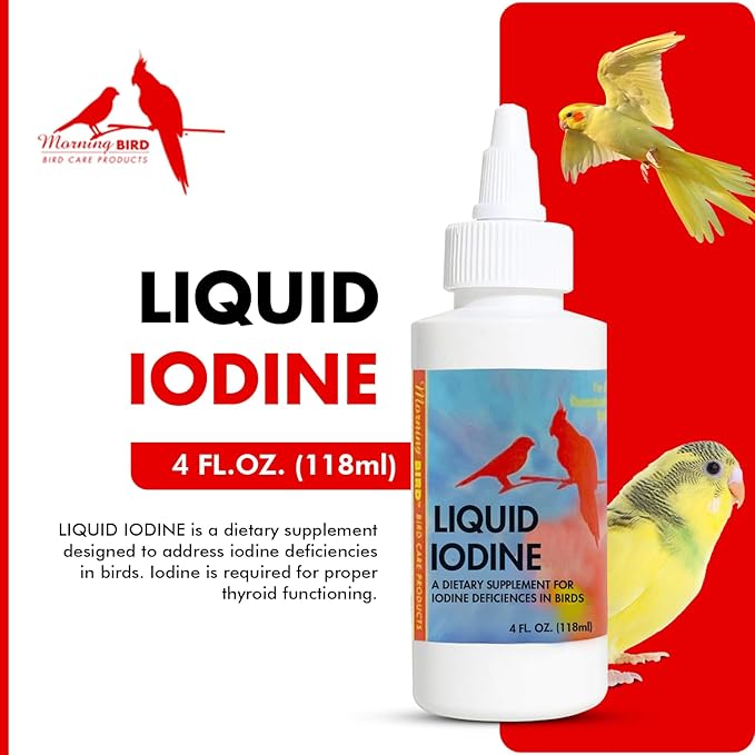 Morning Bird Liquid Iodine for Birds 4 fl oz – Iodine Mineral Supplement – Supports Feather Growth, Molting, Energy & Healthy Thyroid Function – Easy-to-Use Drops