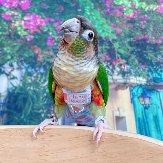 Bird Clothes Parrot Diapers Bird Flight Suits, Reusable Waterproof Diapers pet Bird Supplies (Without Rope, 2M)