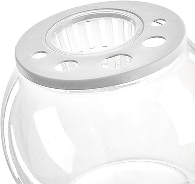 Aquarium Bowl Tabletop with Open Cover for DIY Micro Landscape in Cafe Dorm Room, Round