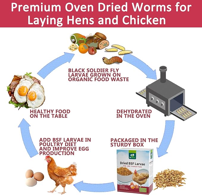 20LB Dried Black Soldier Fly Larvae for Chickens,Non GMO 86X More Calcium BSF Larvae Than Dried Meal Worms for Chicken, Turkey, Natural Black Fly Larvae for Chickens Bulk,Protein Chicken Grubs Treats