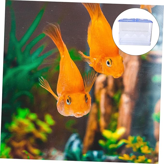 Small Fish Breeding Box Freestanding Incubator Suction Cups No Gap Isolation Tank for Fish Hatching and Reproduction