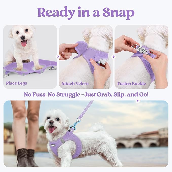 rabbitgoo Dog Harness Small Medium Sized and Leash Set, Step in Soft Light Puppy Vest, Breathable Mesh Pet Harness, Reflective for Safe Easy Walking, Light Purple L