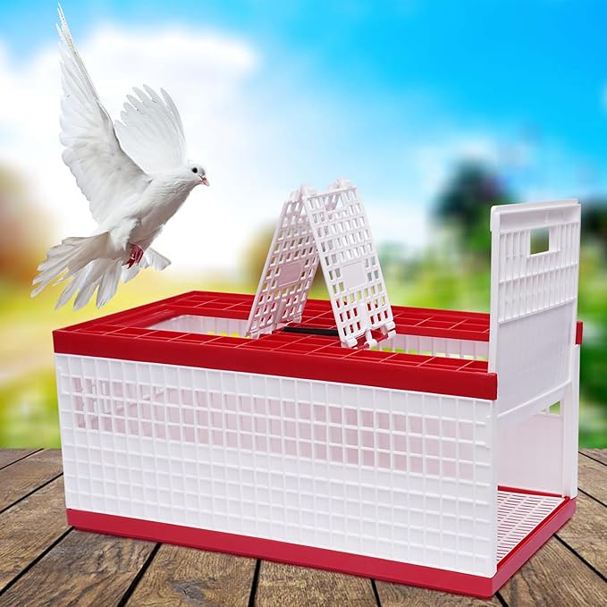Pigeon Cage, Racing Pigeon Carrier Box Plastic Foldable Pigeon Cage with Handle Bird Training Basket Live Bird Shipping Boxes with 2 Side Doors 2 Top Doors for Training Release Competition
