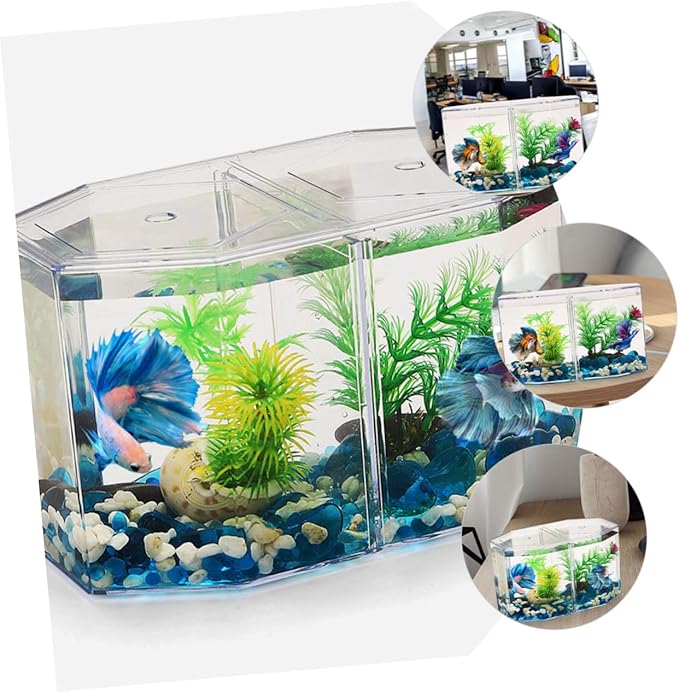 Professional Transparent Fish Breeding Tank Double Space Incubation Box for Fish Easy to Use for Fry and Aggressive Aquarium Supply