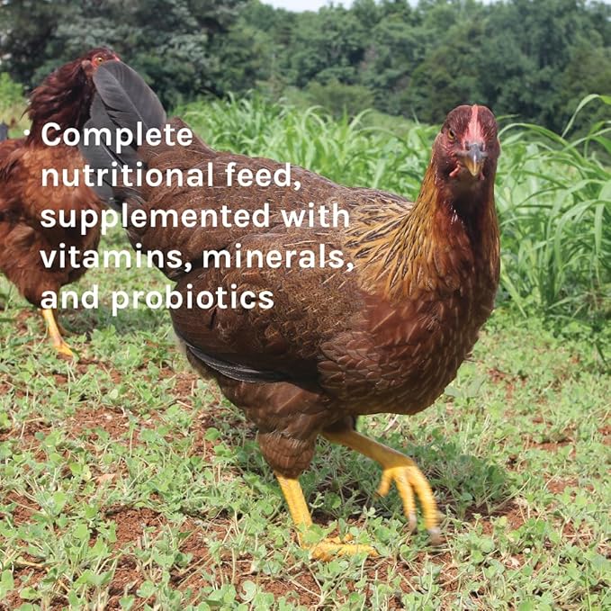 New Country Organics | Corn-Free Classic Layer Chicken Feed for Laying Hens | Corn-Free and Soy-Free | 17% Protein | Certified Organic and Non-GMO Chicken Food | 25lbs Bag