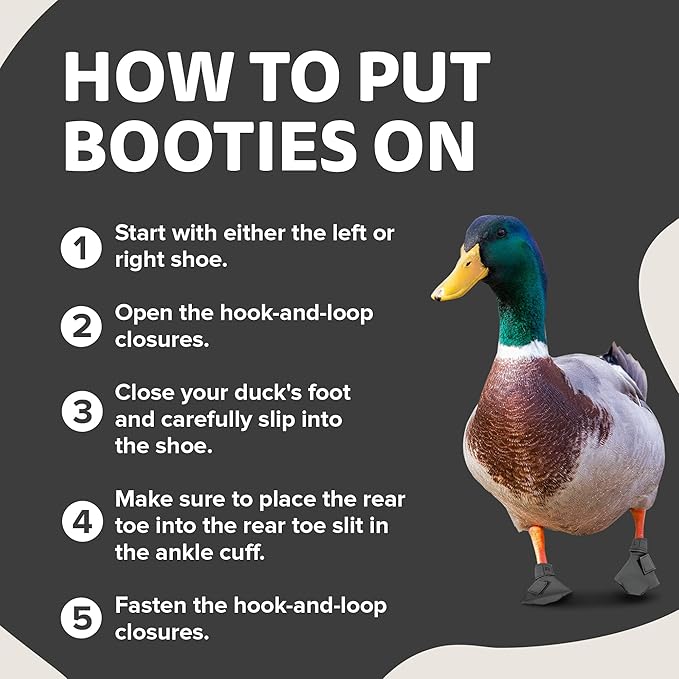 Duck Shoes for Injured Feet – Protective Neoprene Footwear for Ducks, Protective Shoes for Birds with Injured feet, Bumblefoot Relief - Medium, 3.5” Max. Inside Width - Gray