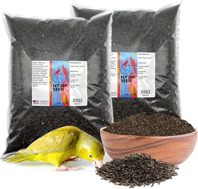 Morning Bird Nyjer Seed for Birds 18 lbs (2-Pack, 9 lbs Each) – Rich in Natural Healthy Fats – Ideal for Breeding & Molting – Premium Bird Food for Canaries and Other Seed-Eating Birds