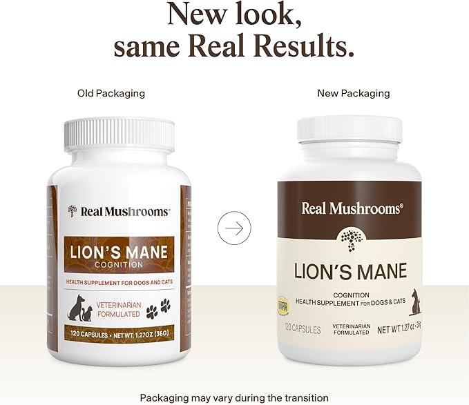Real Mushrooms Lion’s Mane Pet Mushroom Supplement – Pet Wellbeing Capsules – for Cat & Dog Supplement & Vitamins – Support Mindful Routines – Organic, Vegan, Non-GMO, 120 Count