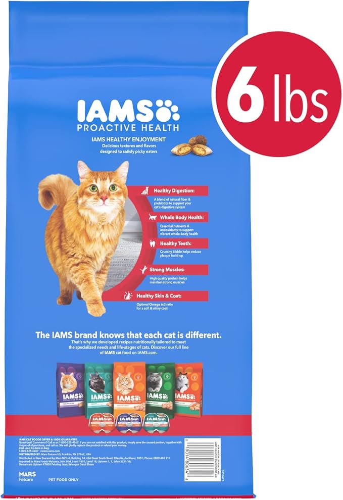 IAMS Healthy Enjoyment Dry Cat Food Chicken & Beef Recipe, Cat Food Dry Recipe, 6 lb. Bag