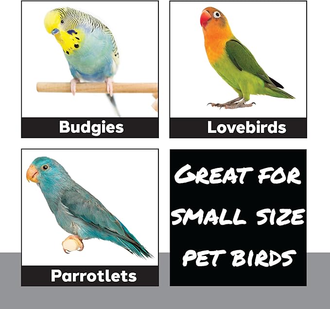 806 Pk60 Foam Beads Bird Toy Parts - 60 Colorful Lightweight Chewing Foot Toys for Birds - DIY Foraging Accessories for Parakeet, Budgie, Cockatiel & Small Parrots - Soft Destructible Crafting Beads