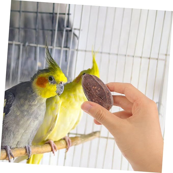 8pcs Natural Dried Fruit Parrot Chew for Birds Parakeet Cockatiel Foraging and Biting Healthy Mental Stimulation Bird Play