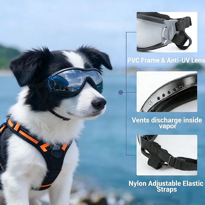 Namsan Small Dog Goggles, UV Protection Goggles for Dogs Small Breed, Puppy Sunglasses with Adjustable Straps, Windproof Dog Eye Protection for Outdoor Activities, Black