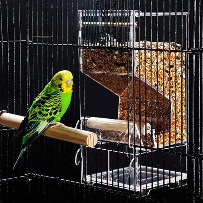Automatic Bird Feeder, No Mess, Transparent Acrylic, Reducing Waste, Bird Cage Accessories for Parakeet, Canary, Cockatiel, Finch, Conure (Medium)