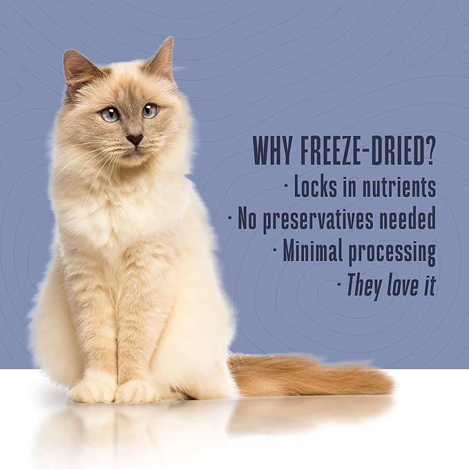 Whole Life Cat Living Treats for Cats – Human Grade Probiotics for Allergy & Itchy Skin Relief, Natural Digestive Support, Healthy Cat Snacks for Felines - Salmon & Yogurt, 1 oz (Pack of 2)