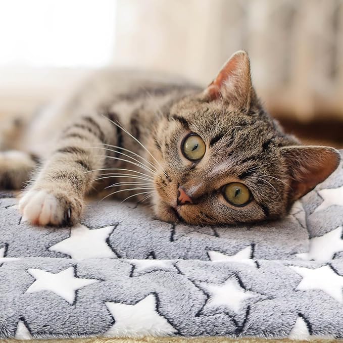 2 Pack Cat Blanket for Indoor Cats Ultra Soft and Warm Calming Cat Bed Fleece Pet Mat for Anxiety and Stress Washable Kitten Blanket