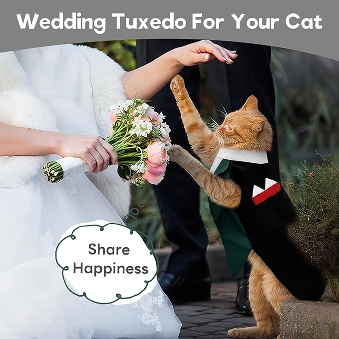 Cat Tuxedo Suit, Stylish Cat Tuxedo Outfit Formal Suit, Kitten Formal Attire Wedding Birthday Onesie Costume for Male Girl Hairless Cats, Pet Fashion Apparel Fancy Clothes, Grey, M