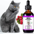 Cat Multivitamin Drops - 15 in 1 Vitamin Supplement for Immune Support, Heart, Bones, Joint, Skin & Coat Health, Bacon Flavor Vitamins for Senior Cats & Kittens (1 Pack, for cat)