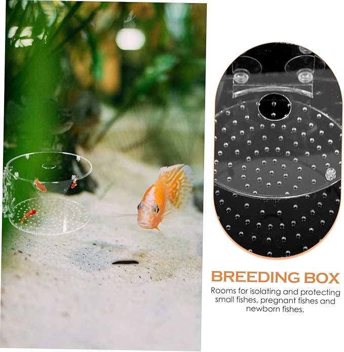 POPETPOP Fish Breeding Box Isolation Tank for Fish Hatching Easy to Clean Aquarium Divider for Safe Breeding Enhanced Survival Rate Transparent
