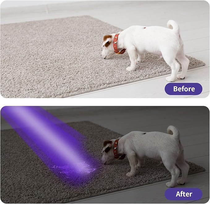 COSOOS UV Black Light Flashlights, 4 Pack 395nm Mini Pen Lights with Clip, Waterproof Ultraviolet Flashlights for AC Leak, Pet Urine, Scorpion, Hotel Inspection, Dry Stain and Bed Bug(Silver)