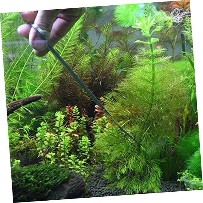 Beginner Fish Tank Tool Set Stainless Steel Tweezers Scissors Spatula Net for Aquatic Plant Care